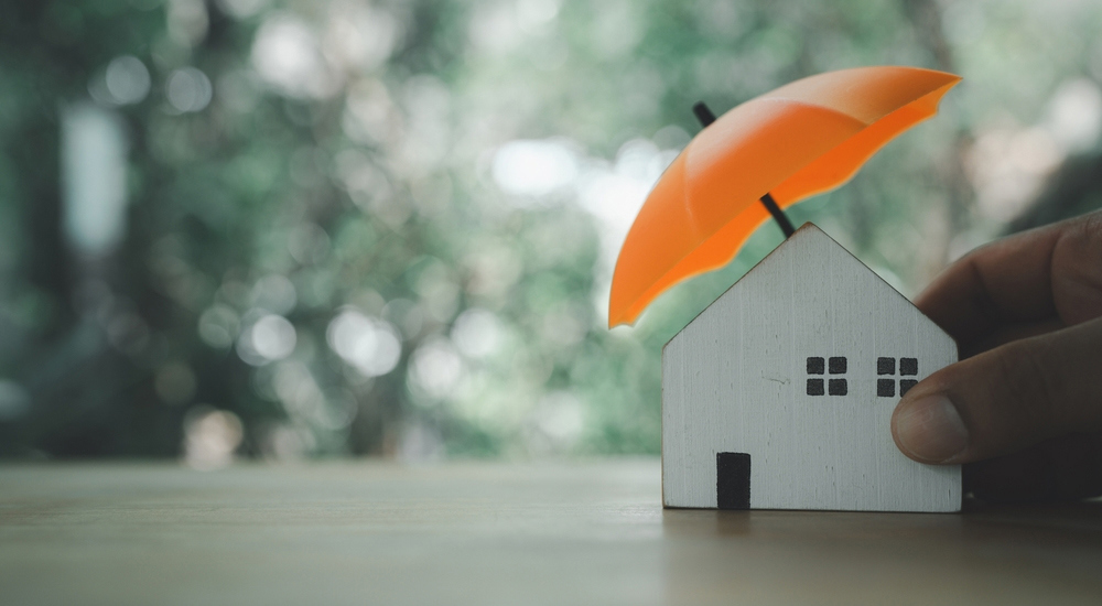 Property Insurance.jpg